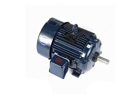 Marathon Electric E220