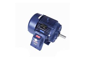 Marathon Electric 324TTGS16577