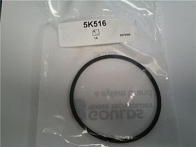 Уплотнительное кольцо 5K516 D79x3.5 FPM для насоса Goulds SV1-22