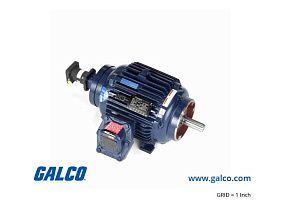 Marathon Electric Y983