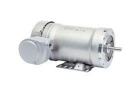 WEG Electric 1311087114