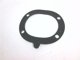 GKT2438 Прокладка от LOCHINVAR