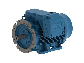 WEG Electric 03718ET3Y225S/MFF-W2