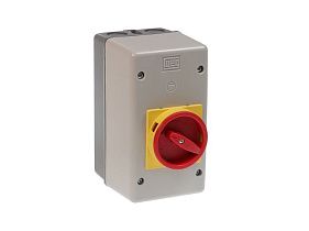 WEG Electric PE55GN-E