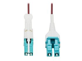 Tripp-Lite N822L-10M-MG