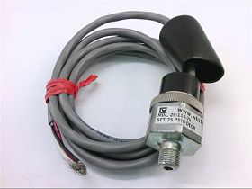 29-113-75 Реле давления от WHITMAN CONTROLS
