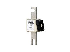 Bussmann 170M3263