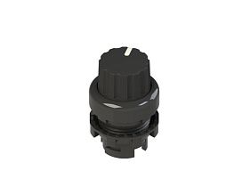 Pizzato E2 1SE42FVA11AB