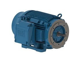 WEG Electric 06018ET3E364JM-W22