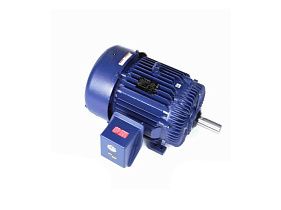 Marathon Electric E624-P