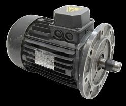 Мотор T90LB4 от ROGNONI