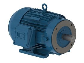 WEG Electric 01036ET3E215TC-W22