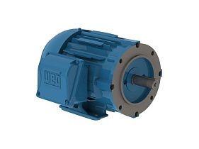 WEG Electric 00118ET3V143TC-W22