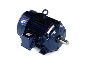 Marathon Electric 213TTFN16101