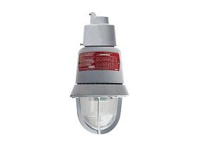 Edwards Signaling 116EXMLEDA-Y6