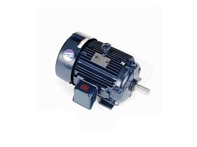 Marathon Electric E221