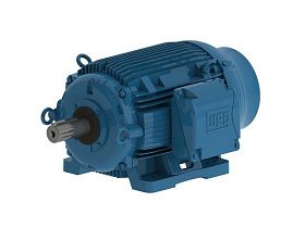 WEG Electric 05012ET3PCT365T-W22