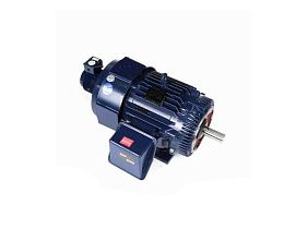 Marathon Electric Y586