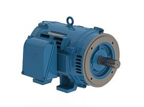 WEG Electric 15018OT3G444TSC-W40