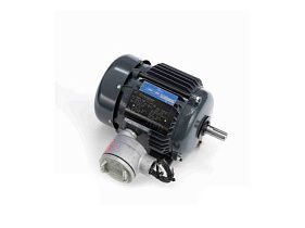 Marathon Electric 143TTGN7076