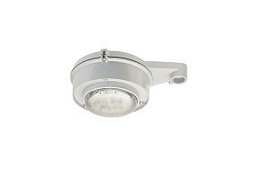 Appleton IMLLEDA42J5BU