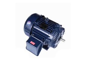 Marathon Electric E227