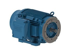 WEG Electric 07518ET3E365TC-W22G