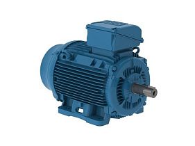 WEG Electric 15018ET3E445TF3-W22