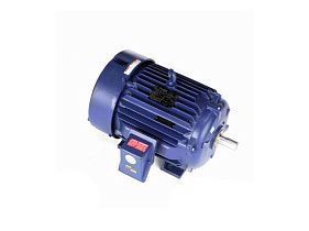 Marathon Electric 286TSHFNA9001