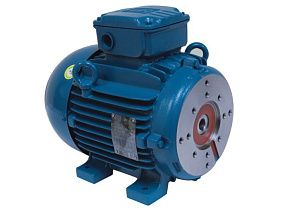 WEG Electric 01018EP3EHP215TYZ7F3