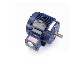 Marathon Electric W519