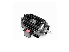 Marathon Electric 256THTNA7036