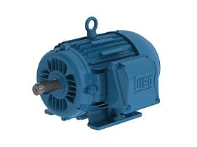 WEG Electric 00718ET3E213TF2-W22