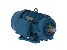 WEG Electric 01009ST3HIE284T-W22