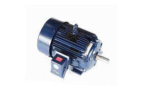 Marathon Electric W554