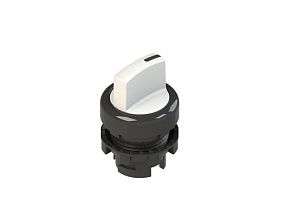 Pizzato E2 1SL13GCH21AB