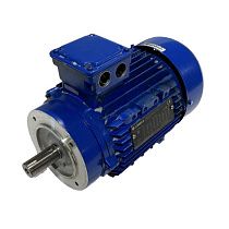 Серводвигатель Lowara PLM90B14/322 E3, 220-480В, 50/60Гц