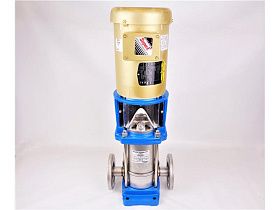 Насос вертикальный многоступенчатый 1SV7FC4F62 Goulds Pump, 1 л.с., 3500 об/мин
