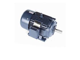 Marathon Electric E983B