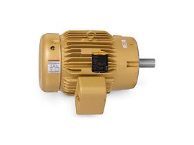Baldor-ABB Motors VEM2333T