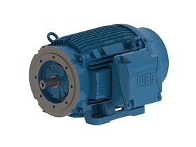 WEG Electric 07518ET3E365TSCF2-W2