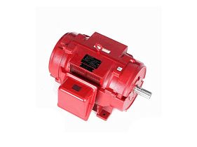 Marathon Electric U516