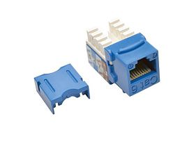 Tripp-Lite N238-025-BL