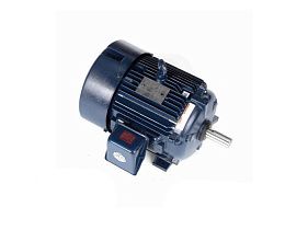 Marathon Electric E205-P