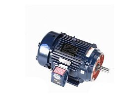 Marathon Electric 215THFS8029