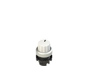 Pizzato E2 1SL42EVD29AB