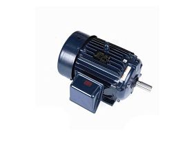 Marathon Electric E208