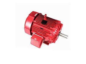 Marathon Electric 445TTFN14337