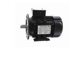 Marathon Electric R394A