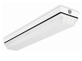 Светильник EFS 2 32 MVOLT GEB10IS WWGR от LITHONIA LIGHTING